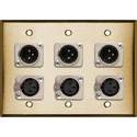 Photo of My Custom Shop 3-Gang Brass Wall Plate w/ Neutrik Triple 3-Pin XLR Male & Triple XLR Female