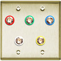 Photo of My Custom Shop 2-Gang Brass Wall Plate w/ 5 Canare 12G BNC Barrels each with Color Coding