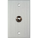 Photo of My Custom Shop WPCA-1109 1-Gang Clear Anodized Wall Plate w/ 1 1/4-Inch TRS Phone Jack