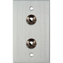Photo of My Custom Shop WPCA-1110 1-Gang Clear Anodized Wall Plate w/ 2 1/4-Inch TRS Phone Jacks