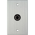 Photo of My Custom Shop WPCA-1130 1-Gang Clear Anodized Wall Plate w/ 1 S-Video 4-Pin Barrel