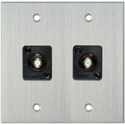 Photo of My Custom Shop WPCA-2102/R 2-Gang Clear Anodized Wall Plate w/ 2 Front Recessed F- Female Barrels