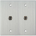 Photo of My Custom Shop WPCA-2102 2-Gang Clear Anodized Wall Plate w/ Two F- Female Barrel Connectors