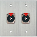 Photo of My Custom Shop WPCA-2105 2-Gang Clear Anodized Wall Plate w/ 2 - Neutrik NJ3FP6C Stereo 1/4 Latching Jacks