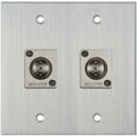 Photo of My Custom Shop WPCA-2107 2-Gang Clear Anodized Wall Plate with 2 Canare BCJ-JRUK 12G-SDI  Recessed BNC Barrels