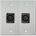Photo of My Custom Shop WPCA-2116 2-Gang Clear Anodized Wall Plate w/ 2 Plastic Latchless 3-Pin XLR-Fs