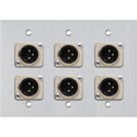 Photo of My Custom Shop 3-Gang Clear Anodized Wall Plate w/ 6 Latching NEUTRIK 3-Pin XLR Males
