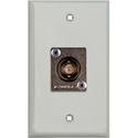 Photo of My Custom Shop WPLG-1103 1-Gang Gray Lexan Wall Plate with 1 Canare BCJ-JRUK 12G-SDI BNC Feed-Thru
