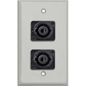 Photo of My Custom Shop WPLG-1124 1-Gang Gray Lexan Wall Plate w/ Two 4-Pole speakON Male Connectors
