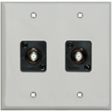 Photo of My Custom Shop WPLG-2102/R 2-Gang Gray Lexan Wall Plate w/ 2 Front Recessed F- Female Barrels
