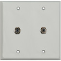 Photo of My Custom Shop WPLG-2102 2-Gang Gray Lexan Wall Plate w/ Two F- Female Barrel Connectors