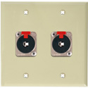 Photo of My Custom Shop 2-Gang Ivory Lexan Wall Plate w/ 2 NEUTRIK NJ3FP6C Stereo 1/4 Latching Jacks