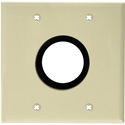 Photo of My Custom Shop WPLI-2158GROM 2-Gang Ivory Lexan Wall Plate w/ One 1-5/8 inch Grommet