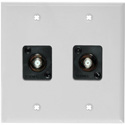 Photo of My Custom Shop WPLW-2102/R 2-Gang White Lexan Wall Plate w/ 2 Front Recessed F- Female Barrels