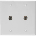 Photo of My Custom Shop WPLW-2102 2-Gang White Lexan Wall Plate w/ Two F- Female Barrel Connectors