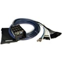 Whirlwind MD-12-2-C6-025 12 XLR Inputs / 2 Cat6 Ethercon Data Snake - Box to Fan - MEDUSA with DATA - 25 Foot