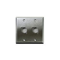 Whirlwind WP2/2NDH Stainless Steel 2 Gang Wallplate - Punched for 2 D Sized Neutrik XLRs