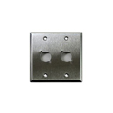 Photo of Whirlwind WP2/2NDH Stainless Steel 2 Gang Wallplate - Punched for 2 D Sized Neutrik XLRs