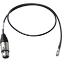 Laird XLF-DIN-003 DIN 1.0/2.3 to XLR-F Time Code Cable - 3 Foot