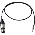 Photo of Laird XLF-DIN-025 DIN 1.0/2.3 to XLR-M Time Code Cable - 25 Foot