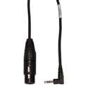Connectronics XLR to RA Mini Cable for Adapting Pro Mics to Stereo Mini Inputs 10 Ft