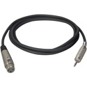 Connectronics Premium Quality XLRF-Mono Mini Male Audio Cable 10Ft