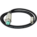 Photo of Connectronics Premium Quality XLRF-Mono Mini Female Audio Cable 10Ft