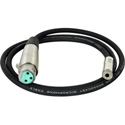 Photo of Connectronics Premium Quality XLRF-Mono Mini Female Audio Cable 3Ft