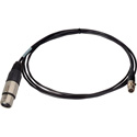 Photo of Connectronics Premium Quality 3-Pin XLR Female to 3-Pin Mini XLR Female Audio Cable - 10 Foot