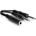 Photo of Hosa YPP-106 / Y-SPF-2SP 1/4 Inch Mono Female to Dual 1/4 Inch Mono Male Y-Cable 6 Inch