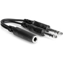 Photo of Hosa YPP-308 / Y-SPFS-2SPS 1/4 Inch Stereo Female Jack to 2 1/4 Inch Stereo Male Y-Cable 6 Inch