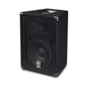 Photo of Yamaha BR10 10 Inch 2-Way 250-Watt Bass Reflex Speaker - Each