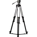 Libec NX-300Q QL40B Tripod System with NH30 Head/SP-1B Floor Spreader/RC-40 Case/Long Plate S